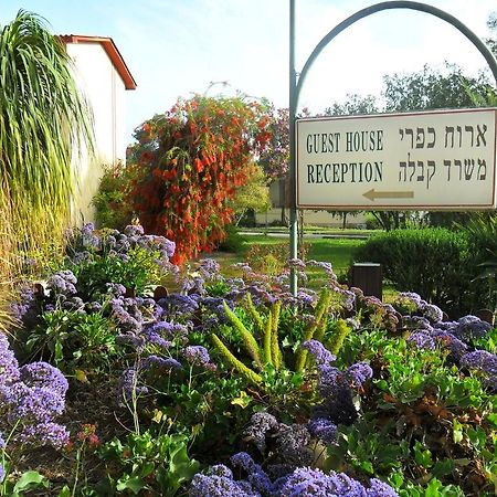 Ein Zurim Guest House 'En Zurim Εξωτερικό φωτογραφία
